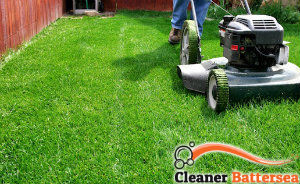 lawn-mowing-services-battersea