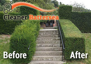 Before and After Hedge Trimming