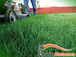 grass-cutting-services-battersea
